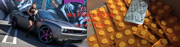 амф Арсеньев