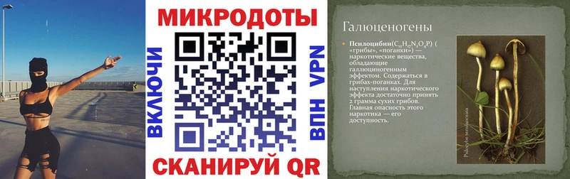 Галлюциногенные грибы Psilocybine cubensis Олёкминск